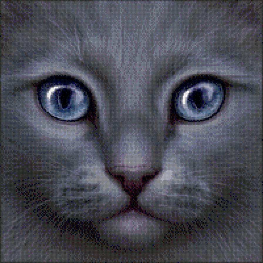 №783031 - животные, кошки, звери, котенок - предпросмотр