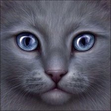 Схема вышивки «№783031»