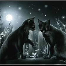 Схема вышивки «коты ирины гармашовой»