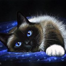 Схема вышивки «коты ирины гармашовой»