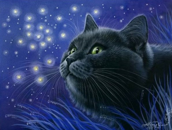 коты ирины гармашовой - котики - оригинал