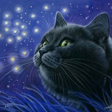 Схема вышивки «коты ирины гармашовой»