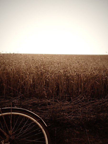 пейзаж - оригинал