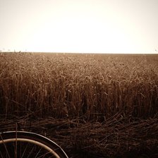 Схема вышивки «пейзаж»