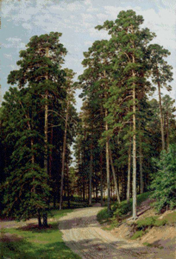 Сосновый лес - природа, живопись, сосны, лес, картина - предпросмотр