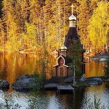 Схема вышивки «в лесу»