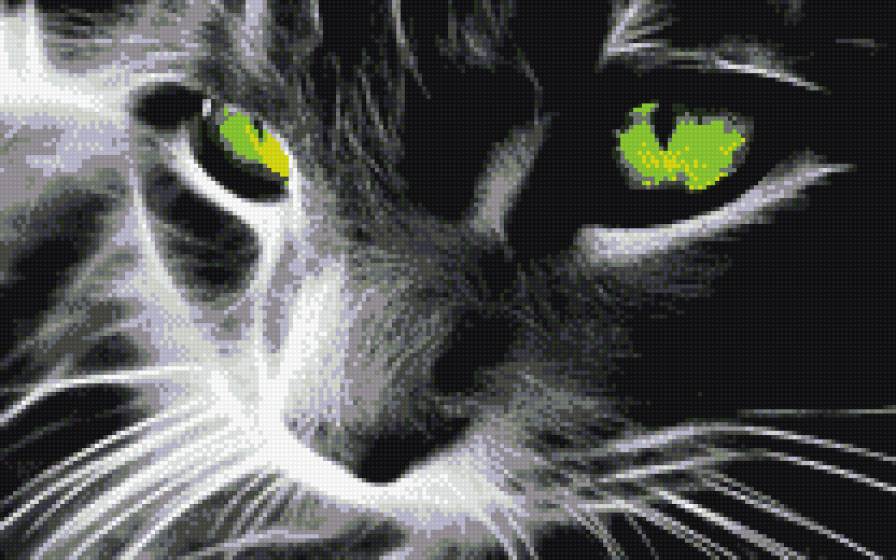 киса - предпросмотр