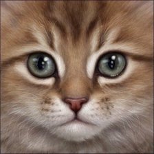 Схема вышивки «№783640»