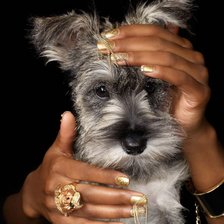 Схема вышивки «Собачка»