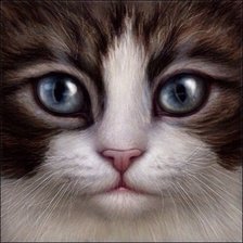 Схема вышивки «№783695»