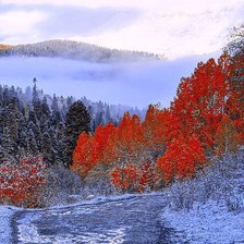 Схема вышивки «поздняя осень»