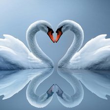 Схема вышивки «лебяди»