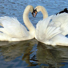 Схема вышивки «№783971»