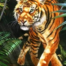 Схема вышивки «тигр»