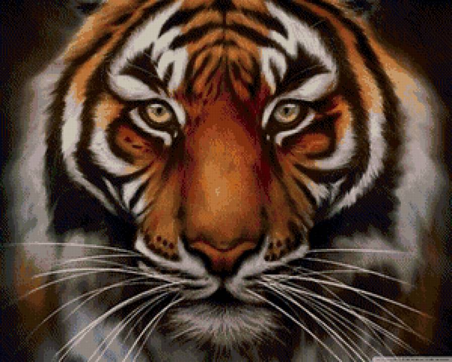 тигр - тигр, дикие животные - предпросмотр