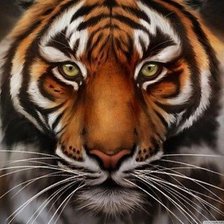 Схема вышивки «тигр»