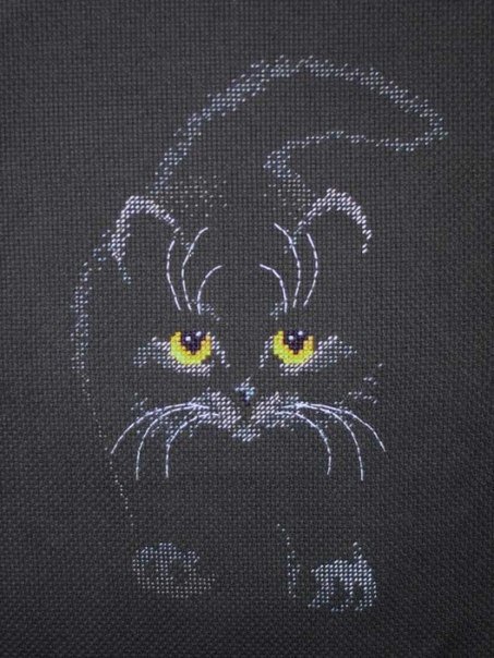 черный кот - оригинал