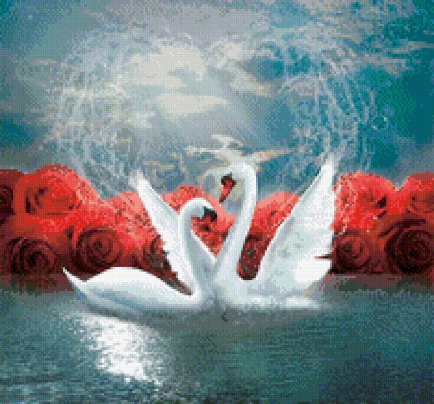 лебеди и красные розы - лебеди, брызги воды, красные розы, любовь, сердце - предпросмотр