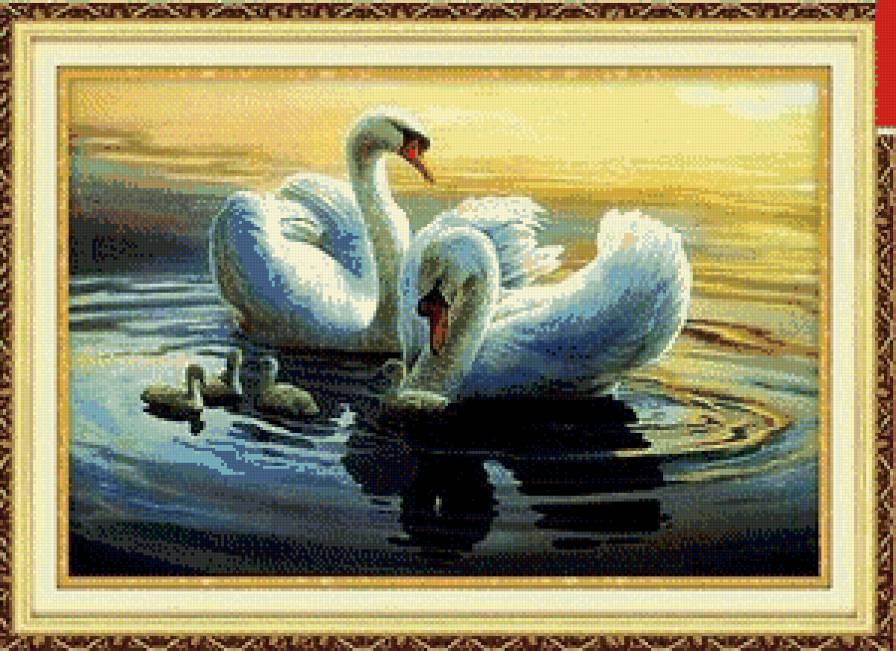 лебединная семья - лебеди - предпросмотр