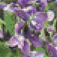 Предпросмотр схемы вышивки «фиалочки» (№784471)