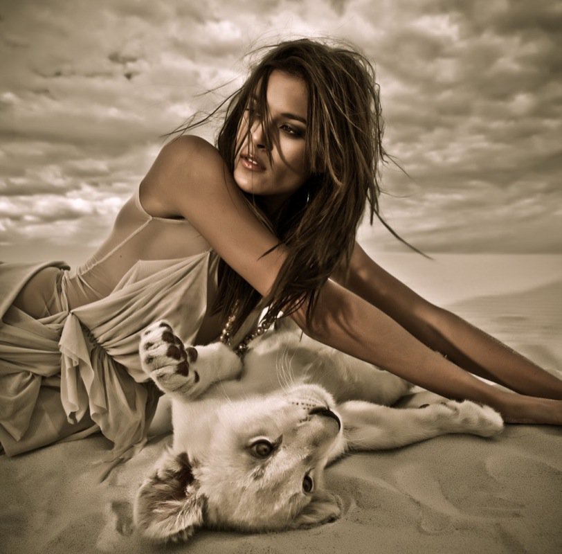 девушка и лев - лев, девушка животные - оригинал