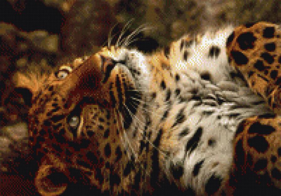 прелесть - тигр - предпросмотр