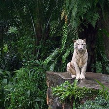 Схема вышивки «природа»