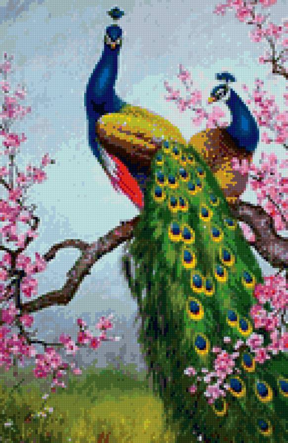 Два павлина - павлины, птицы - предпросмотр