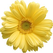 Схема вышивки «№784762»