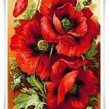 Схема вышивки «маки»