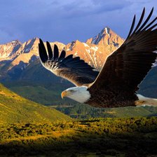 Схема вышивки «3»