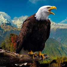 Схема вышивки «6»