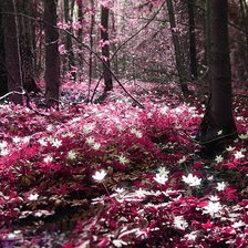 Схема вышивки «лес»