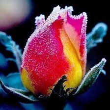 Схема вышивки «цветок»