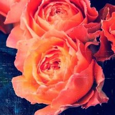 Схема вышивки «цветы»