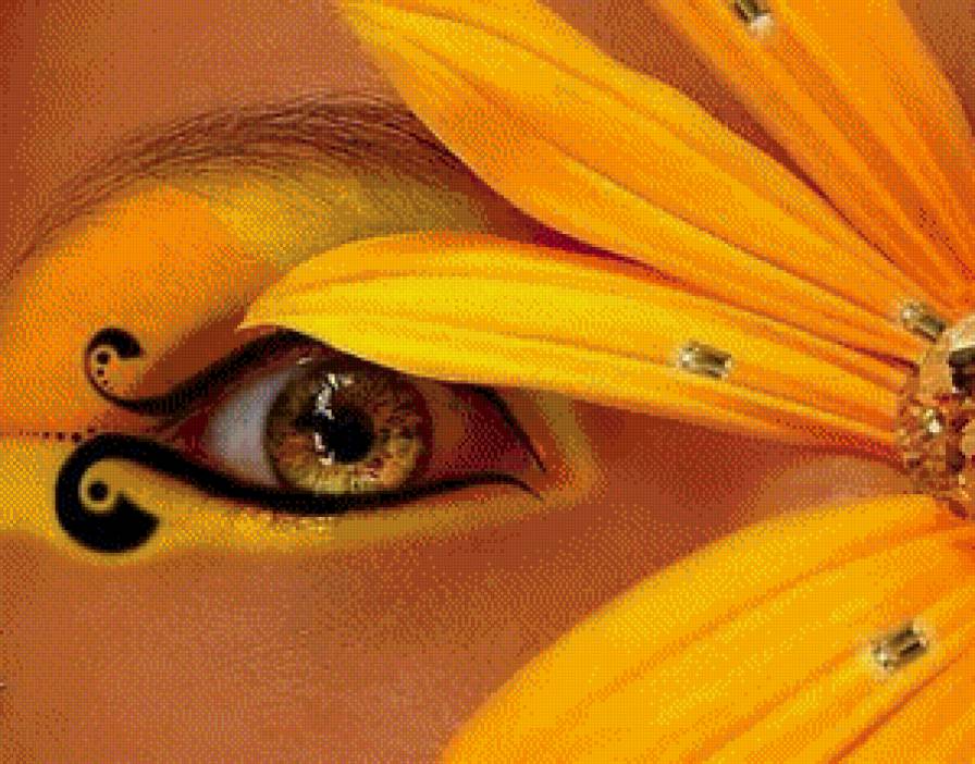 жёлтая - желтый цвет, цветок, глаз - предпросмотр