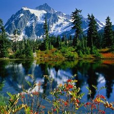 Схема вышивки «Пейзаж»