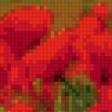 Предпросмотр схемы вышивки «мак» (№785245)