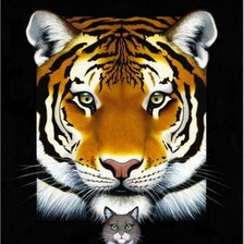 Схема вышивки «кошечки»