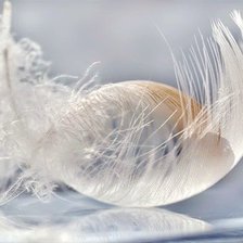 Схема вышивки «пёрышко»