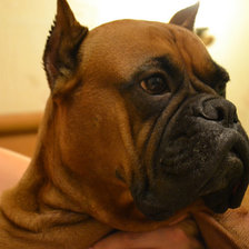 Схема вышивки «Джесс»