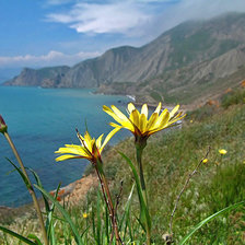 Схема вышивки «Крымские горы»