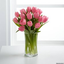 Схема вышивки «Тюльпаны»