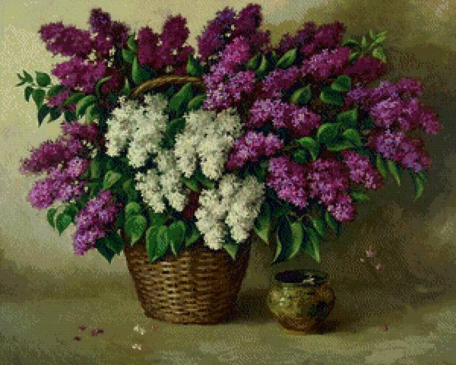 серия "сирень" - цветы.букеты.сирень - предпросмотр