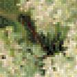 Предпросмотр схемы вышивки «серия "сирень"» (№785490)