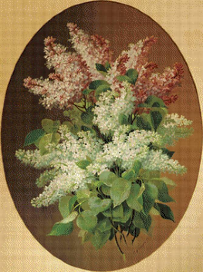 серия "сирень" - цветы.букеты.сирень - предпросмотр