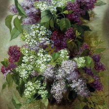 Схема вышивки «серия "сирень"»