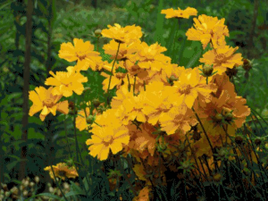 квіти - квіти - предпросмотр