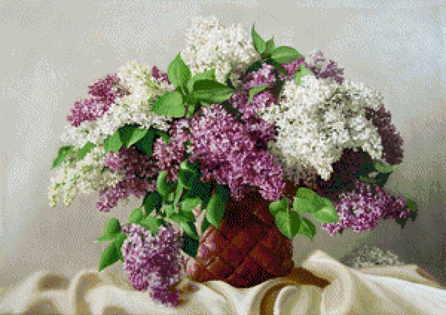серия "сирень" - цветы.букеты.сирень - предпросмотр