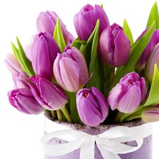 Схема вышивки «№785510»